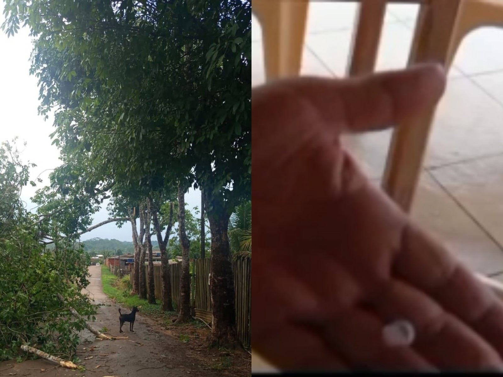 foto Not&iacute;cia Tarauacá